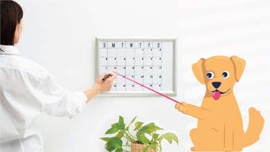 5-in-1 Vaccine for Puppies Schedule: Complete Guide