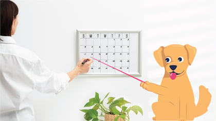 5-in-1 Vaccine for Puppies Schedule - Complete Guide