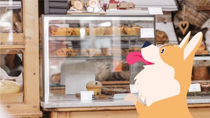 Top 5 Pet Bakeries Around Brooklyn & NYC