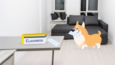 Clavamox For Dogs: Usage, Dosage, & Side Effects