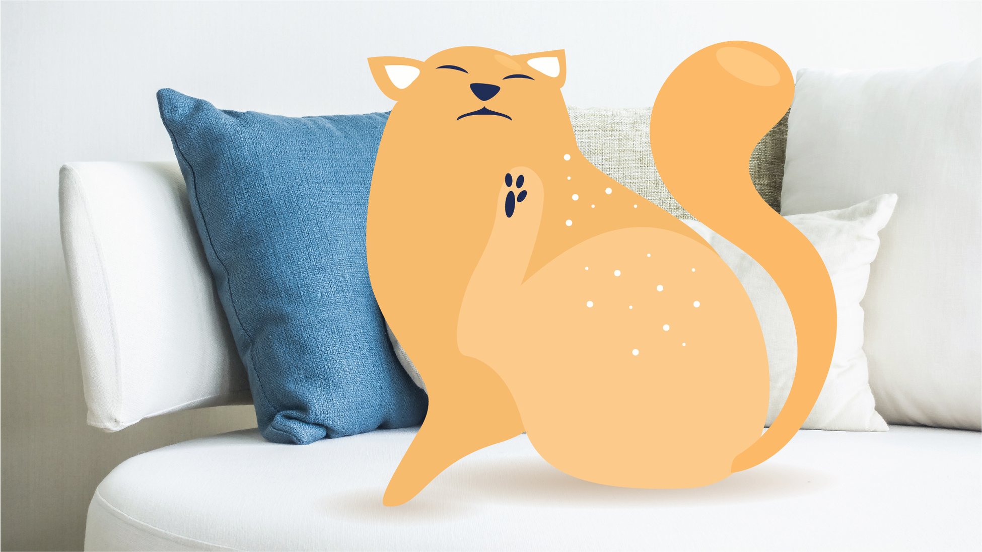 How to Get Rid of Cat Dandruff BetterVet