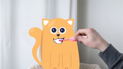 Cat Dental Care & Teeth Cleaning Guide