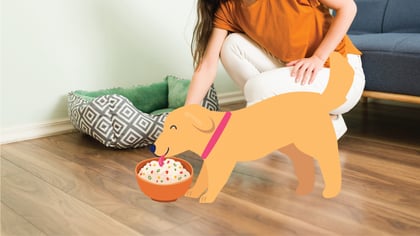 Homemade Food for Dogs