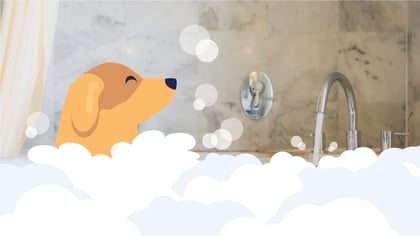 How Often Should I Give My Dog a Bath?