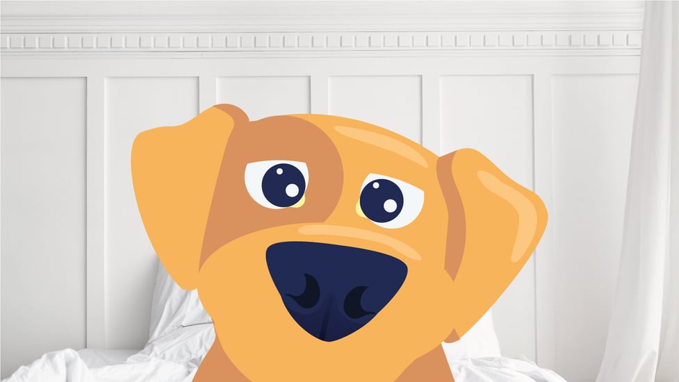 Why is My Dog’s Nose Bleeding? 8 Possible Causes BetterVet