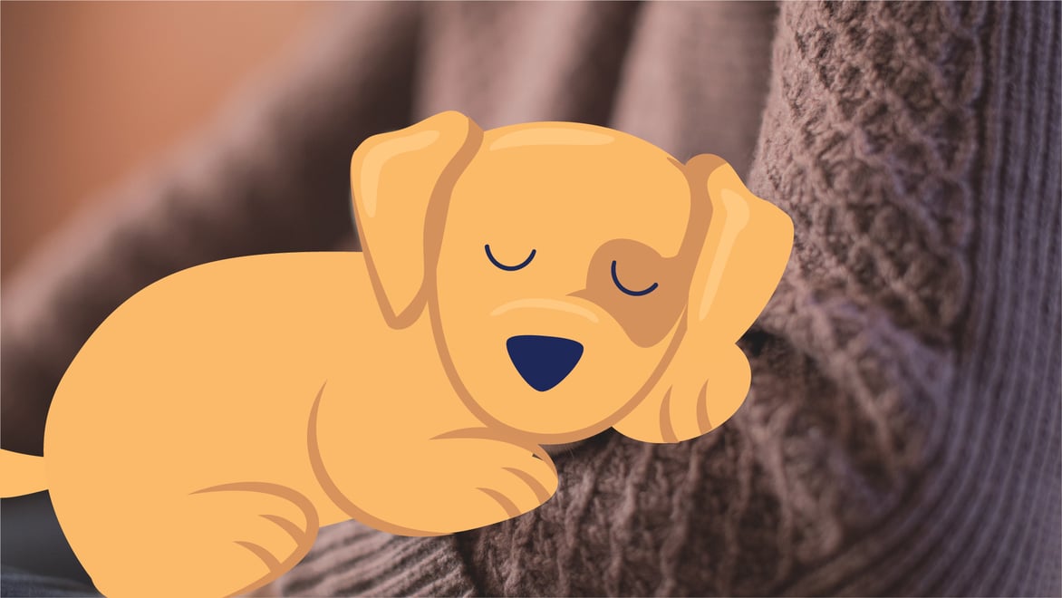 How Long Are Puppies With Parvo Contagious? BetterVet