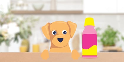 Pepto Bismol for Dogs: Safety, Can They Take It & More