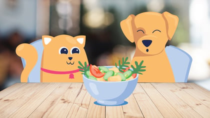 Is It Safe for Dogs and Cats To Be Vegan?