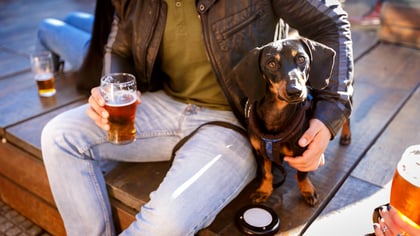 The 5 Best Dog-Friendly Breweries in Houston, TX