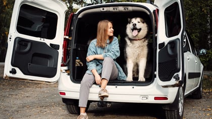 Best Cat & Dog Boarding Facilities in Boston, MA