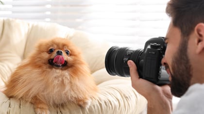 Best Pet Photographers in Houston, TX
