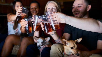 The Best Dog-Friendly Breweries in Philadelphia, PA