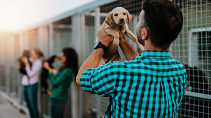 Best Pet Adoption Centers & Animal Shelters in Austin