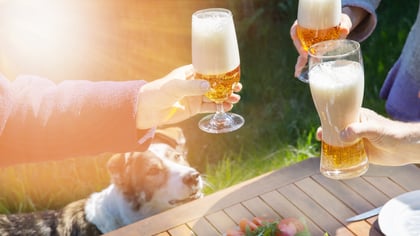The Best Dog-Friendly Breweries in Portland, OR