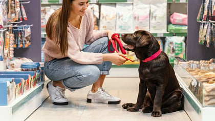 The Best Pet Supply Stores in Queens, NY
