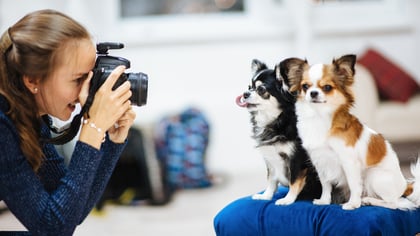 6 Best Pet Photographers in Austin, TX