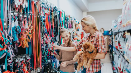 The Best Pet Supply Stores in Boston, MA