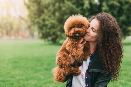 The Top Dog Parks in San Francisco, CA