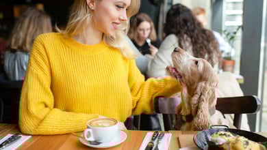 The Best Dog-Friendly Restaurants in Houston, TX