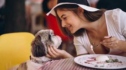 The Best Dog-Friendly Restaurants in Boston, MA