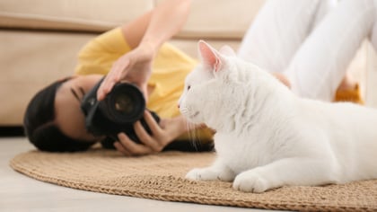 The Best Pet Photographers in Charlotte, NC