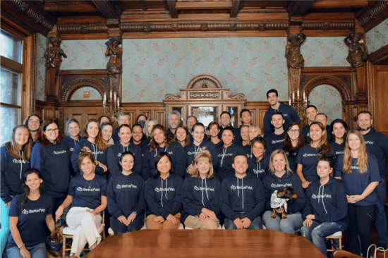 Our Office Team