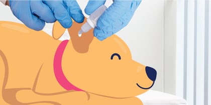 Can You Put Peroxide in a Dog's Ear?