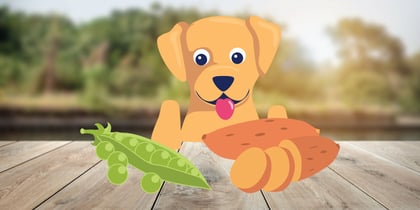 Do Peas and Sweet Potatoes Cause Heart Disease in Dogs?