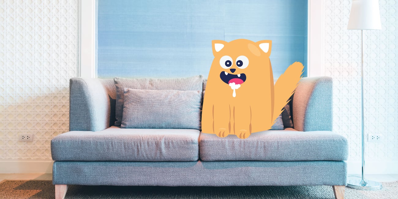 How Long Will It Take for a Cat to Show Signs of Rabies? | BetterVet How Long Will It Take for a Cat to Show Signs of Rabies? | BetterVet