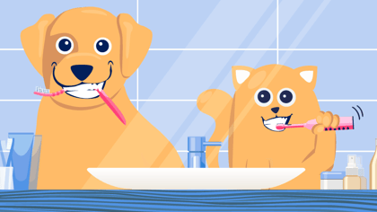 The Ins & Outs of Dog and Cat Dental Health