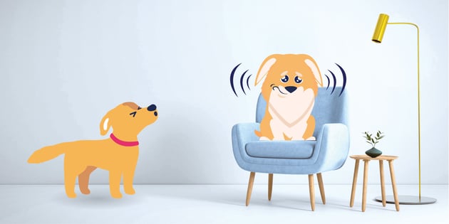 Dog Ear Infection vs Ear Mites What's the Difference? BetterVet