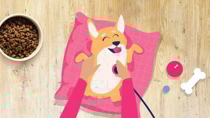 BetterVet Wellness Club - A Roadmap for Your Pet’s Health