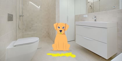Why Is My Dog Throwing up Yellow Bile?