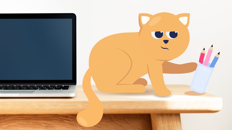 Why Do Cats Sit on Laptops? 4 Common Reasons BetterVet