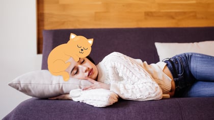 Why Does My Cat Sleep On My Head?