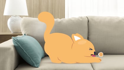 My Cat is Getting Hairballs: Symptoms & Treatment