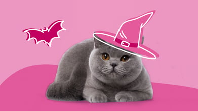 Halloween Pet Safety: 8 Tips to Keep Your Pets Secure