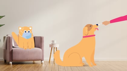 Can Pets Get COVID?