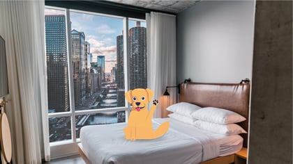 Pet-friendly Airbnb Rentals in Chicago