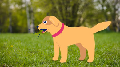 How to Make Your Dog Stop Barking - A Complete Guide