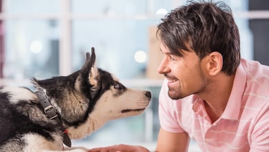 Why Does My Dog Stare At Me? 5 Common Reasons