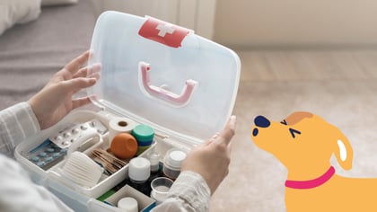 Pet First Aid Kit Essentials: What Should You Have?