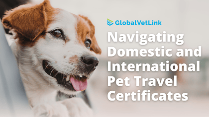 Navigating Domestic and International Pet Travel Certificates