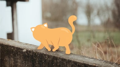 Should You Let Your Cat Roam or Keep Them Inside?