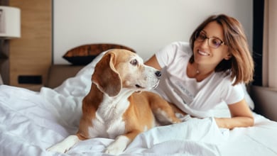 The Top Pet-Friendly Hotels in Brooklyn, NY