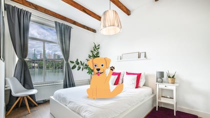 Pet-Friendly Airbnbs in Portland City