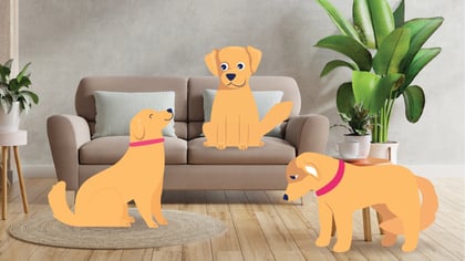 How to Read Your Dog's Body Language