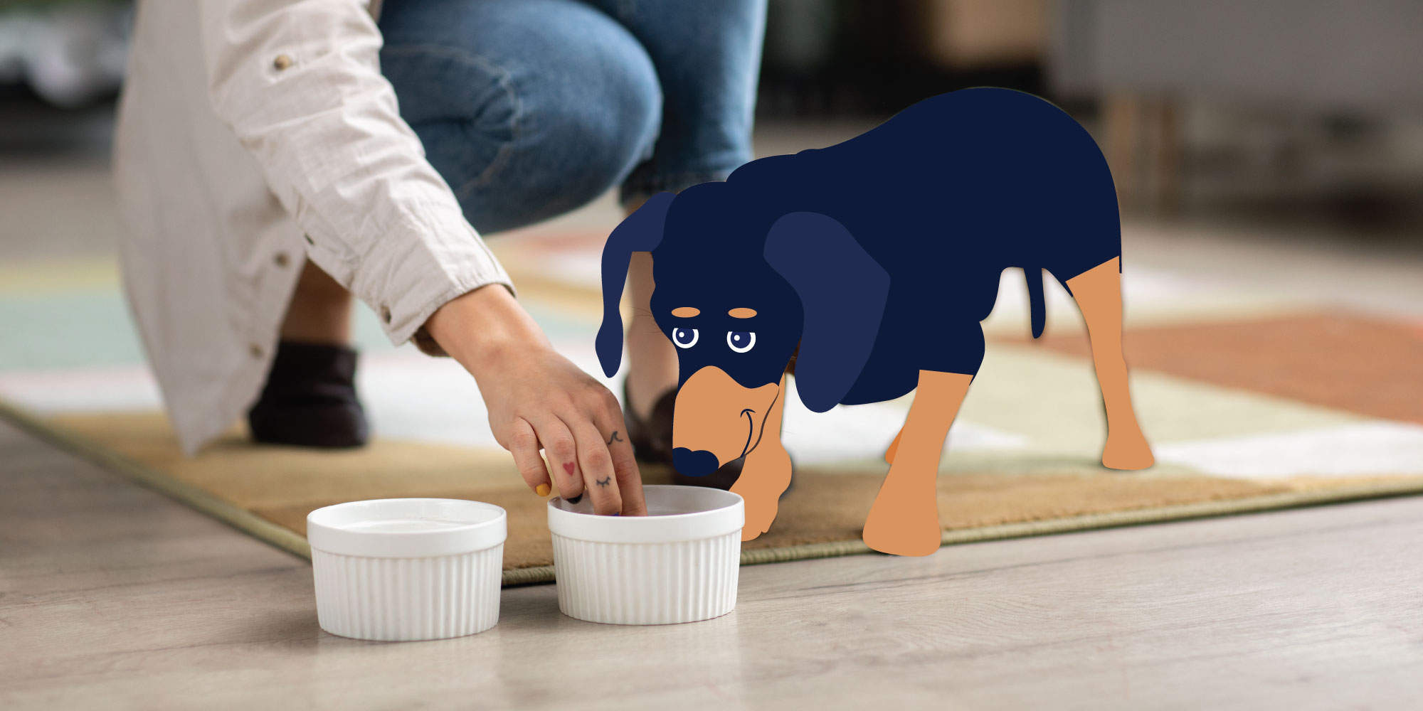 Could Your Dog Benefit from an Elevated Food Bowl?